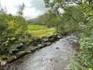 View over the stream from the tent field