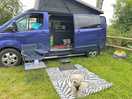 Dogs allowed and electric pitches