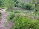 Fishing pond.