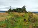 Public footpath from site