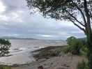 The changing tide was always a joy. watching great egrets and herons feed in the shallows