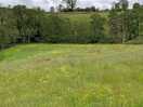 Meadows nearby