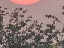 Lovely sunset