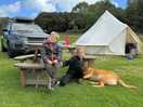 Chilling with red the farm dog