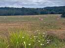 Surrounding countryside for a lovely walk