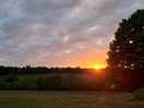 Sunset view over vineyard
