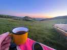 Tea time