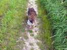 Walk