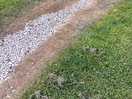 Path to walk on