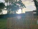 Morning sunrise