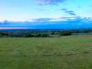 Panoramic