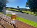 Fox & hounds