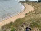 Great dog friendly beach. 5 mins walk
