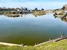 Nice pond on site
