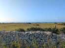 Nice view to wake up to august bh 2024