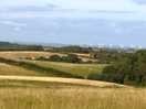 View from the site