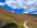 Catbells walk