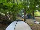 Plenty of room under the trees