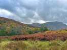 Walk to high aira falls