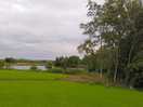 View to fishing lake