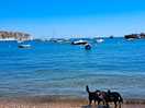Swanage