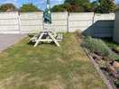 Grass and table