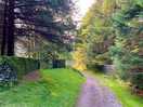 Walk from the site