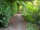 River walk 2