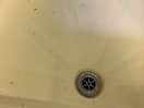 Shower drain filthy.