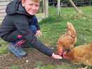 Grayson feeding chickens