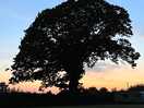 Beautiful in the late evening