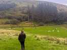 Looking over the zip line field.