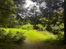 Some scenery