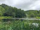 Campsite lake