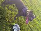Happy dog