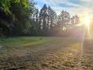 The field