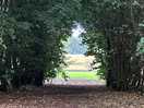 Part of the hidden walk