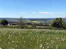 Can see for miles