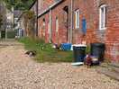 Farmyard