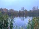 Nice setting