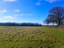 View from site
