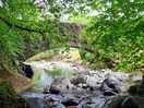 Torrent walk
