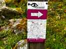 Ruta