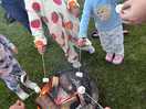 Roasted marshmallows