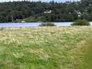 View of lake