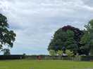 Playing field