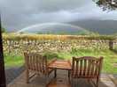 Even though it rained it was still beautiful