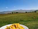 Al fresco dinner