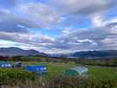 Campsite views