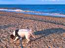 Kessingland beach